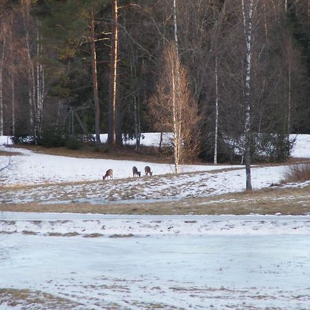 Cosy Private Cottage With Stunning View Sunne Exteriör bild